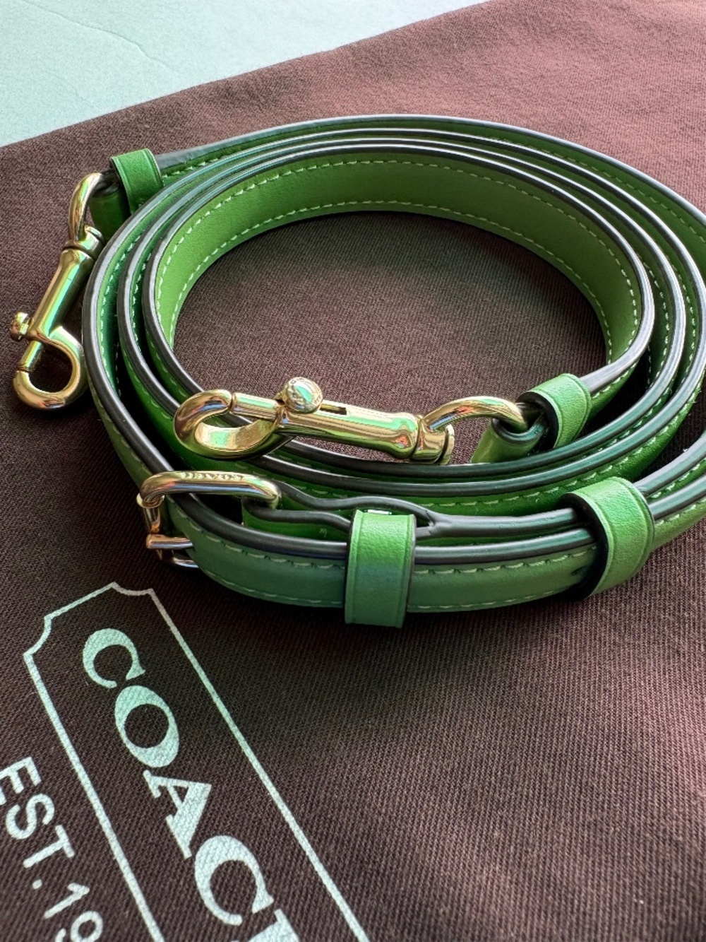 NEW 🍏 Coach Apple Green Leather Adjustable Crossbody Replacement Strap